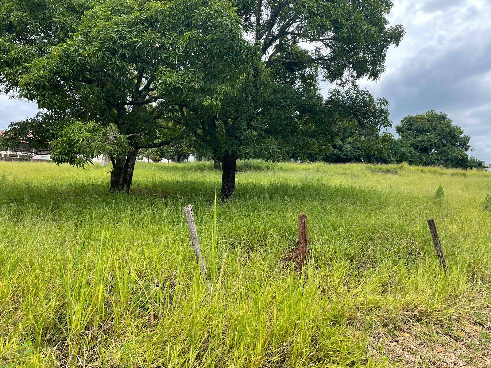 Terreno à venda, 4000m² - Foto 2