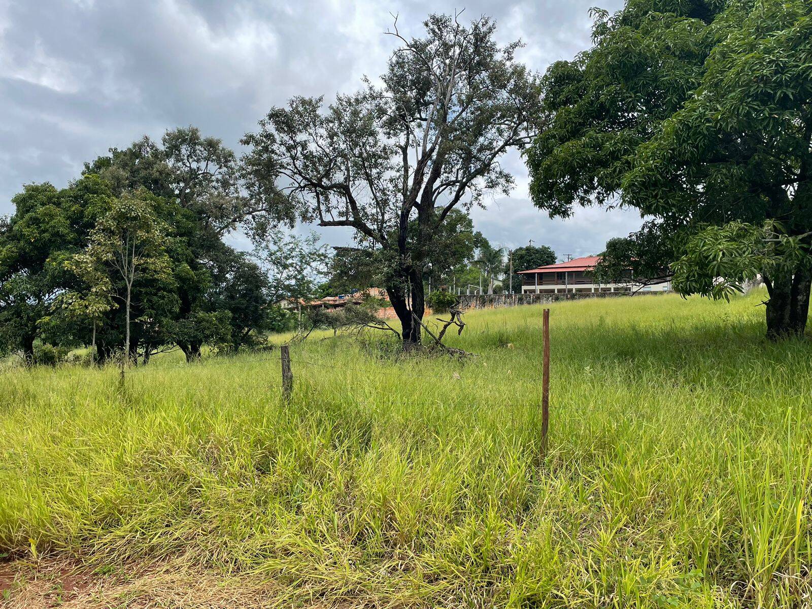 Terreno à venda, 4000m² - Foto 3